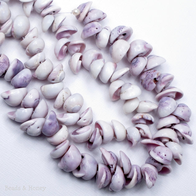 Cebu Beauty Shell Cone/Head 8mm12mm (8Inch Strand) Beads and Honey