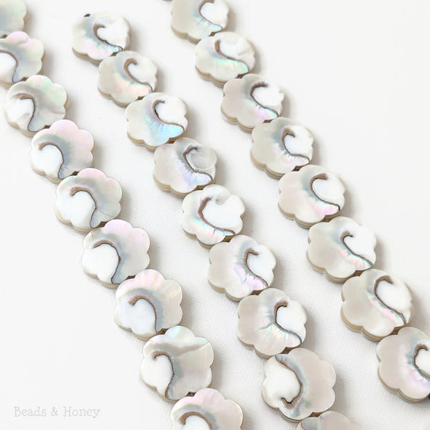 Nautilus Shell Beads Flower 25mm (8-Inch Strand)