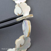 Nautilus Shell Beads Flower 25mm (8-Inch Strand)