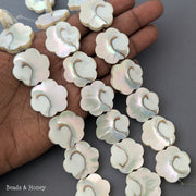 Nautilus Shell Beads Flower 25mm (8-Inch Strand)