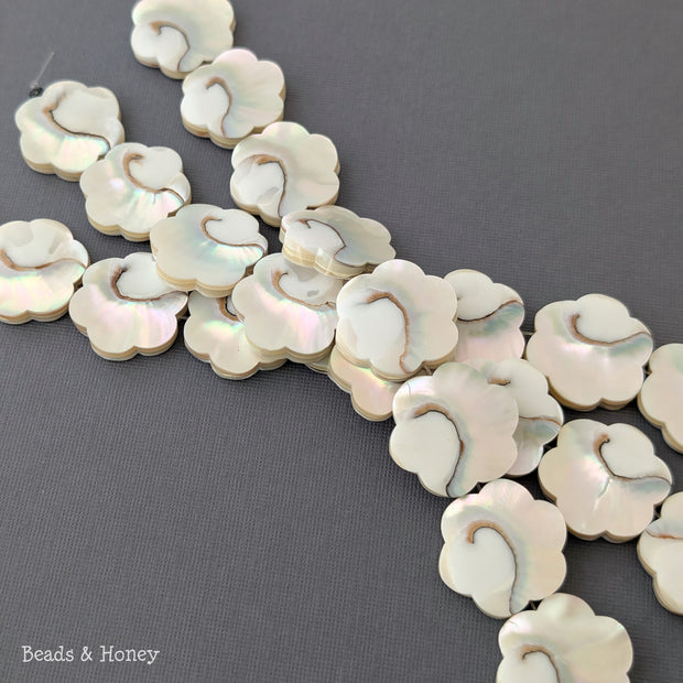 Nautilus Shell Beads Flower 25mm (8-Inch Strand)
