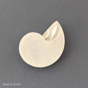 Nautilus Shell Cabochon Matched Pair Blue-Gray/Tiger 70mm (Set of 2) - A