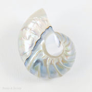 Whole Nautilus Shell Pendant White/Blue "Tail of Mermaid" 30x38mm (1pc)