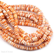 Orange Spiny Oyster Shell Heishi Beads 4-5mm at Beads and Honey