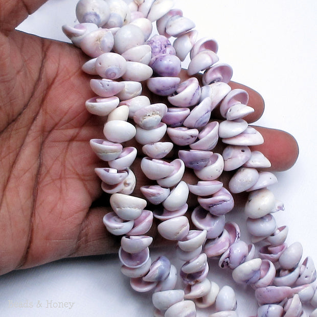 Cebu Beauty Shell Cone/Head 8mm-12mm (8-Inch Strand)