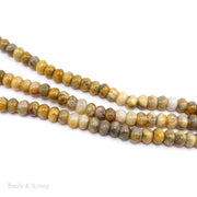 Crazy Lace Agate Bead Rondelle Smooth 6x4mm (16-Inch Strand)