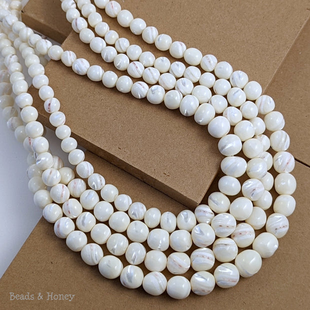 White Troca Shell Beads (Male) with Red Banding Graduated Round 6-12mm (16-Inch Strand)