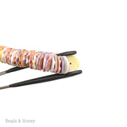 Pecten Shell Bead Multicolored Heishi 9mm (16-Inch Strand)