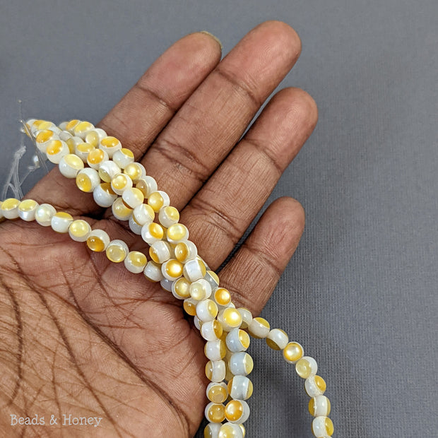 White Troca Shell with Gold Mother of Pearl Inlay Round 5-6mm (8-Inch Strand)