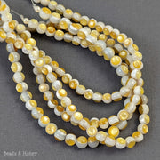 White Troca Shell Beads with Gold Mother of Pearl Inlay Round 5-6mm (8-Inch Strand)