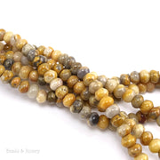 Crazy Lace Agate Bead Rondelle Smooth 6x4mm (16-Inch Strand)