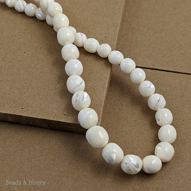 White Troca Shell Beads (Male) with Red Banding Graduated Round 6-12mm (16-Inch Strand)