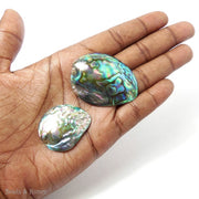 Abalone Shell Beads Concave Tail 30-45mm (1pc)