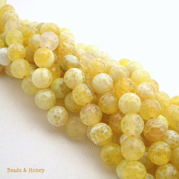 Yellow White Fired Crackle Agate Round Faceted 8mm (Full Strand)