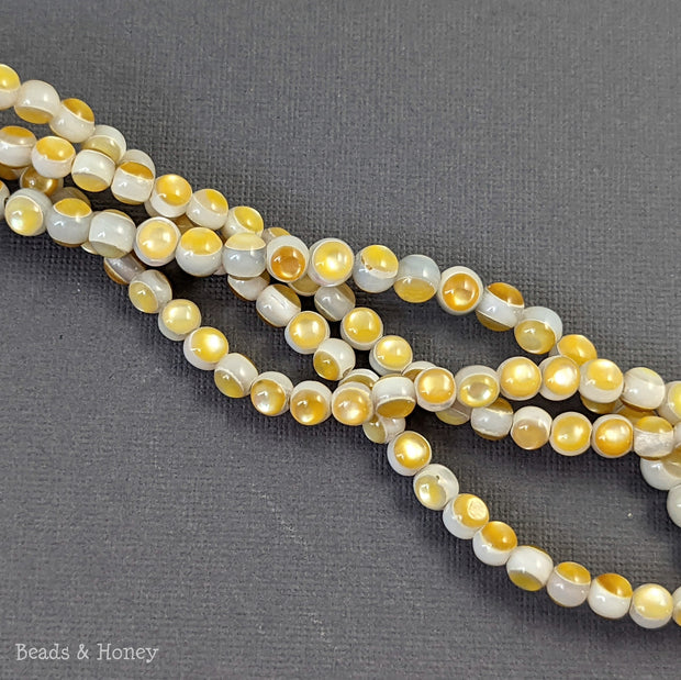 White Troca Shell Beads with Gold Mother of Pearl Inlay Round 5-6mm (8-Inch Strand)