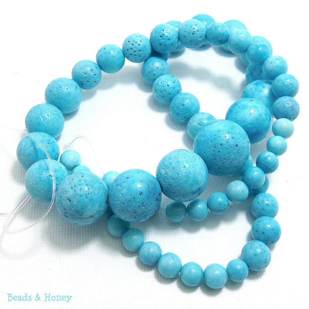 Sponge Coral Light Blue Round Graduated 6-16mm (Full Strand)