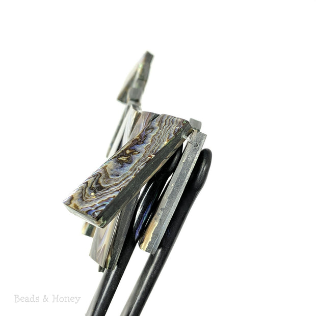 Abalone Shell Half Cleopatra/Fan Rectangular Blade (4-inch) - Design 001