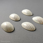 Silver Mouth Shell Cabochon Small 40x25mm (1pc)