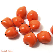 Kukui Nut Orange 22-25mm (9pcs)