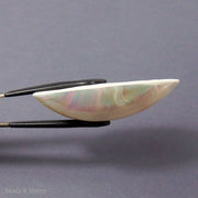 Osmena Pearl Cabochon White Rainbow Nautilus Shell 65x35mm (1pc)