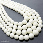 Troca Shell Beads (Female) Graduated Round 6-12mm (16 Inch Strand)