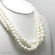 Troca Shell Beads (Female) Graduated Round 6-12mm (16 Inch Strand)