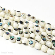 White Troca Shell with Abalone Shell Inlay Round 10mm (7.5-8 Inch Strand)