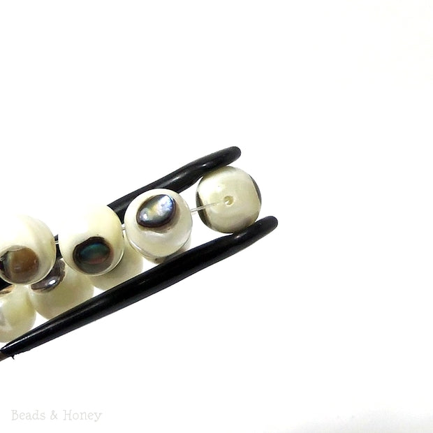 White Troca Shell with Abalone Shell Inlay Round 10mm (7.5-8 Inch Strand)